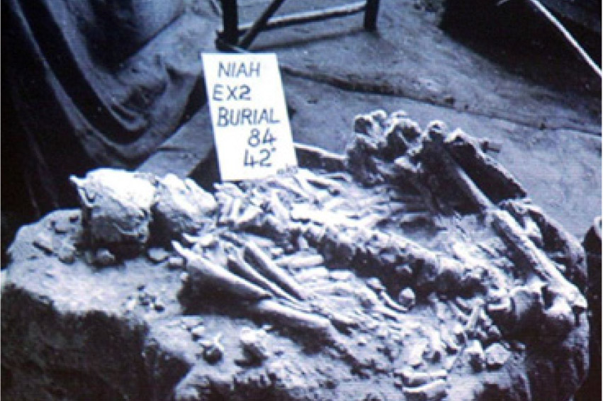 Sarawak to bring ancient Niah Cave skeletons back from the United States