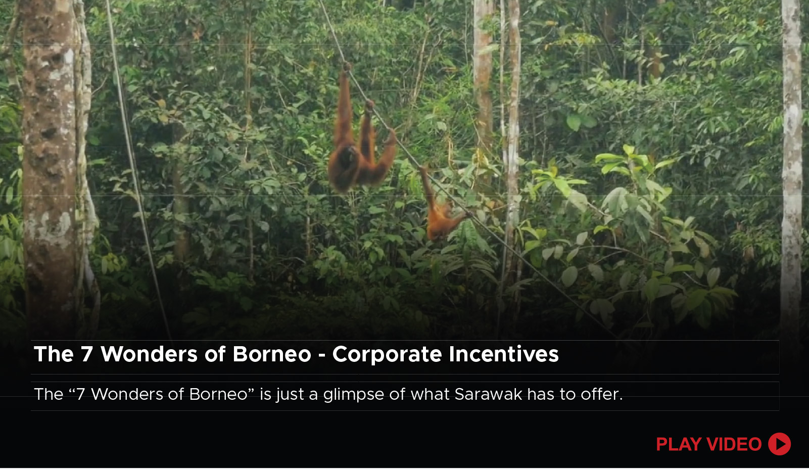 The 7 Wonders of Borneo - Corporate Incentives
