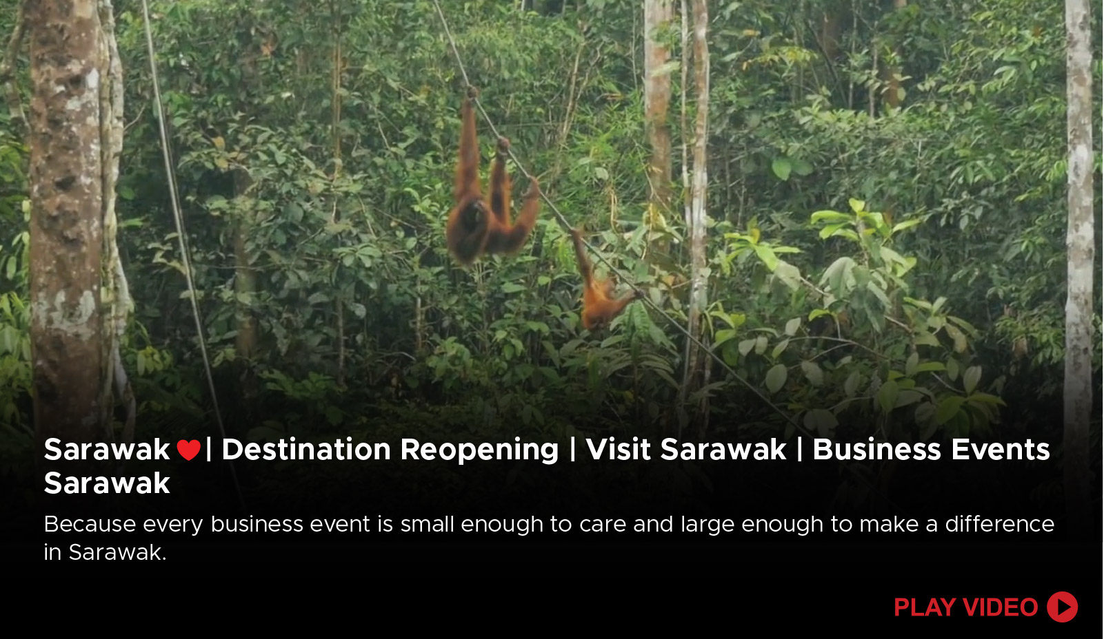 Sarawak ❤️ | Destination Reopening | Visit Sarawak | Business Events Sarawak